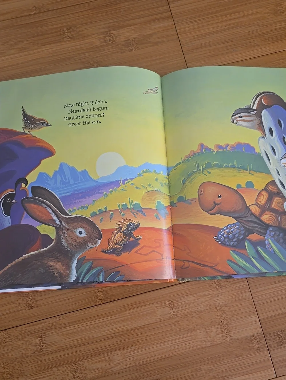 Desert Night Desert Day Children's Book